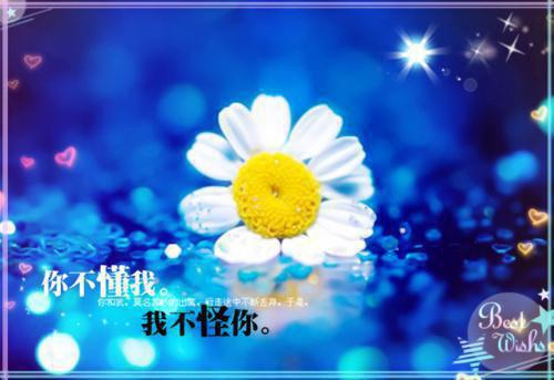 甘采儿兰亭舟（夫君二选一？草包美人吓哭了：结局+番外）全文在线甘采儿兰亭舟读无弹窗大结局_（夫君二选一？草包美人吓哭了：结局+番外甘采儿兰亭舟）夫君二选一？草包美人吓哭了：结局+番外最新章节列表_笔趣阁（甘采儿兰亭舟）