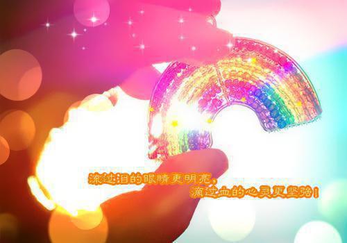 世间再无倾城意：版全文小说云倾城李璟修小说在线阅读
