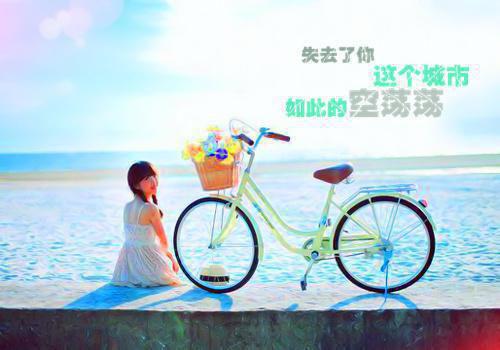 谁都不想成为高考状元：每日分享全文小说谢晚宁周海小说在线阅读