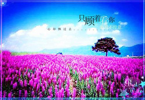 无声遗忘最新小说（沈临许瑶）全文阅读