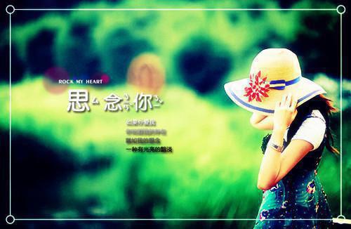 《踹掉渣男，姐包养斯坦福博士》沈知夏顾律完结版全章节阅读