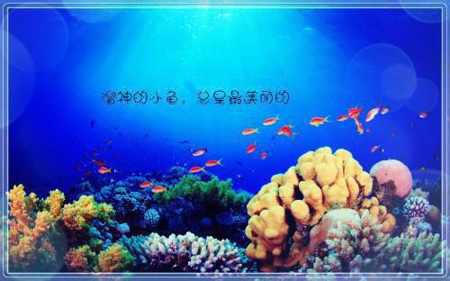 余晖渐沉沦：短篇最新小说（林轻语孟宴淮）全文阅读