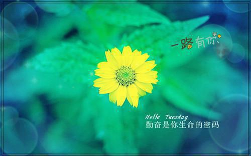 重生七零踹掉营长上大学：结局+番外文章简述结局+番外(宋雨嫣周津南)全文宋雨嫣周津南读无弹窗结局_宋雨嫣周津南读结局章节列表_笔趣阁（重生七零踹掉营长上大学：结局+番外文章简述结局+番外）