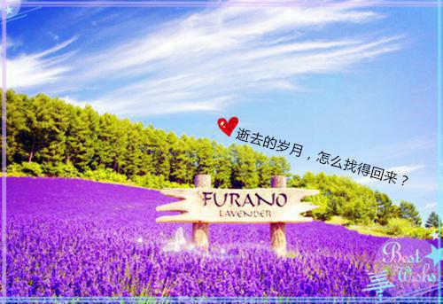 丁克妻子瞒着我，为白月光连生两胎（严凯顾小棠）全文浏览_丁克妻子瞒着我，为白月光连生两胎全文浏览