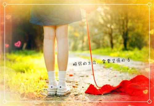 七零重生首长夫人逃不掉了：前文+后续全文阅读（温时鸢顾怀谦）最新章节_七零重生首长夫人逃不掉了：前文+后续全文阅读