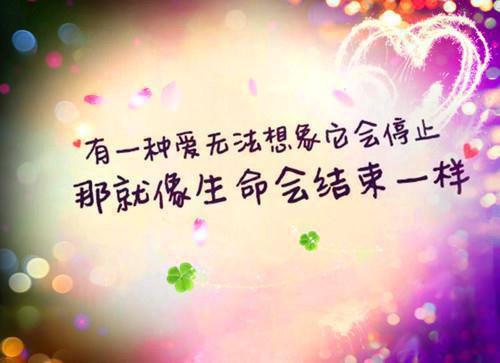 (番外)+(全文)夏思淼祁司野：无广告阅读最新章节免费阅读_（夏思淼祁司野）夏思淼祁司野：无广告阅读全文免费在线阅读_笔趣阁（夏思淼祁司野）