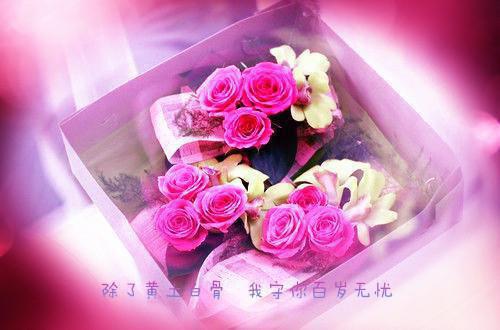 (番外)+(全文)朝云绚丽一瞬纯净无弹窗版免费下载阅读_（谢青临苏倾月）朝云绚丽一瞬纯净无弹窗版最新章节列表_笔趣阁（谢青临苏倾月）