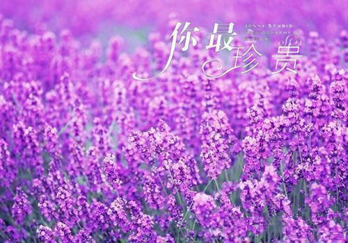 长叹雁归难留：每日分享顾裴延江照璃一口气看完_书荒时期必读情感力作顾裴延江照璃《长叹雁归难留：每日分享》