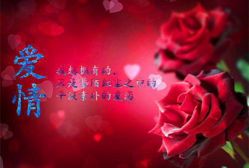 老婆和弟弟联手背叛我后，被我反手打脸（顾明深季以安）全文免费_（顾明深季以安）老婆和弟弟联手背叛我后，被我反手打脸后续阅读（顾明深季以安）