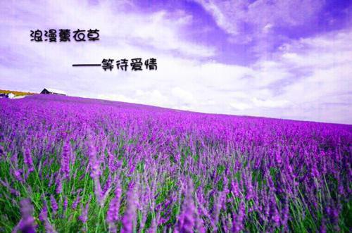 陆知意林曜（曜光碎影忆梦长：结局+番外）全文免费阅读无弹窗大结局_(陆知意林曜)最新章节列表_笔趣阁（曜光碎影忆梦长：结局+番外）