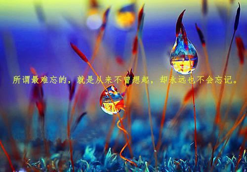 (番外)+(结局)兰依李华轩（和李华轩在一起的第十年）全文免费阅读无弹窗大结局_(兰依李华轩)最新章节列表_笔趣阁（和李华轩在一起的第十年）