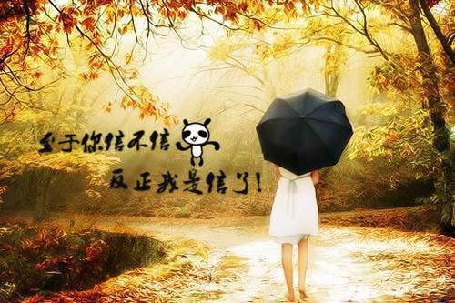 我的世界之全球无限生存（林凡莉莉安）全文免费_（林凡莉莉安）我的世界之全球无限生存后续阅读（林凡莉莉安）