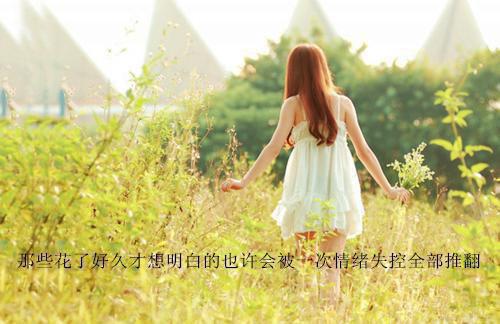 玫瑰枯萎爱不再生：最新全文清爽版在线+无广告结局（沈晚晚周砚）