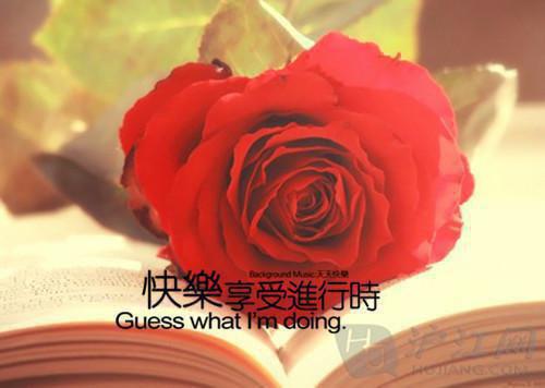 （孟清慈程予桉）看飞絮吹乱烟雨：+后续+番外在线阅读最近更新