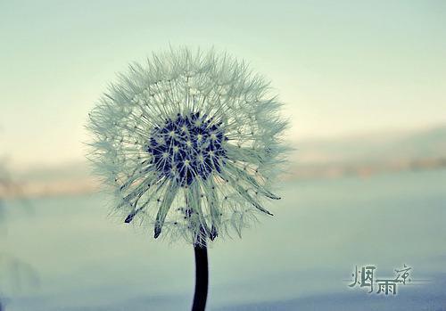 梁诚铭温苒：版全文阅读 梁诚铭章节阅读