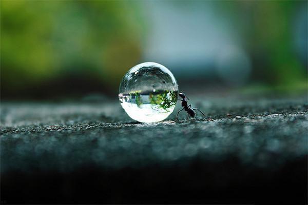 完结文微风阵阵最新章节列表_完结文微风阵阵全文免费阅读（叶薇薇许枫）