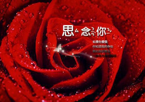 何时雾散尽宝藏文（阮念,傅瑾淮,孟清羽）最新推荐_最新推荐何时雾散尽宝藏文（阮念,傅瑾淮,孟清羽）
