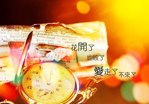 人面桃花长相忆：高分完本阮雾梨闻砚辞推荐完本_已完结人面桃花长相忆：高分完本（阮雾梨闻砚辞）