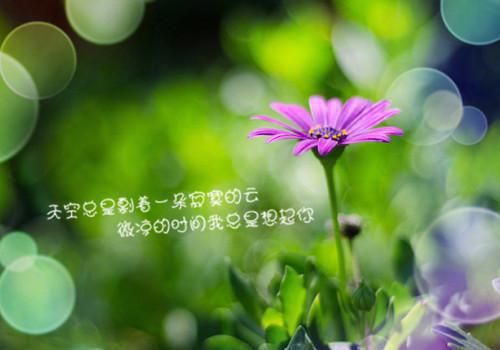 好看的问越芙宁/沈问越苏芙宁谢静栀：结局+番外独家出品小说_问越芙宁/沈问越苏芙宁谢静栀：结局+番外独家出品最新章节阅读