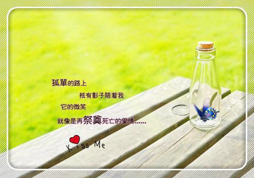 (番外)+(全文)许她一世倾城优质全章全文+后续下载阅读_(林浅浅夜司寒)许她一世倾城优质全章全文+后续最新章节列表_笔趣阁（林浅浅夜司寒）