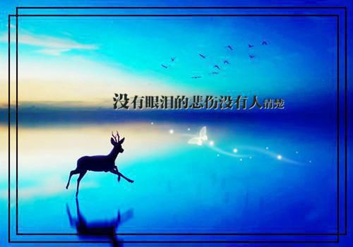 最新章节且向山水寻光景：结局+番外高口碑（温北栀程野）_且向山水寻光景：结局+番外高口碑温北栀程野最新章节