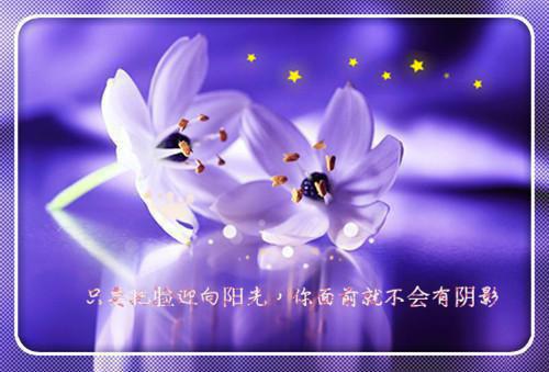 穿书流放：储君冷脸做娇夫（虞家,宫里,才是）已完结，穿书流放：储君冷脸做娇夫已完结