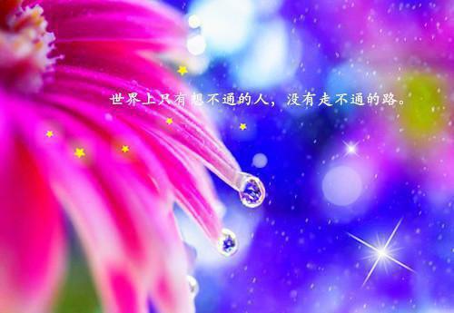 全本小狐狸太撩人，冷面王爷笑着宠（青鸢,周辛尘,扶蓉）最新章节列表_全本小狐狸太撩人，冷面王爷笑着宠全文阅读