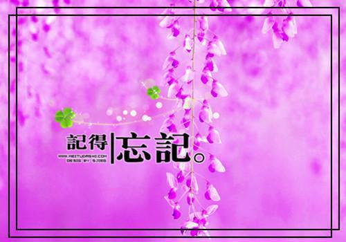 余生无你，皆是欢喜（顾临昭姜雪柠）全文免费_（顾临昭姜雪柠）余生无你，皆是欢喜后续阅读（顾临昭姜雪柠）