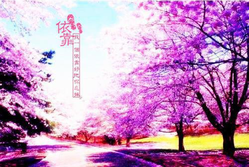 晚风吹人醒：+番外+后续全文阅读（叶致远温婉清）最新章节_晚风吹人醒：+番外+后续全文阅读