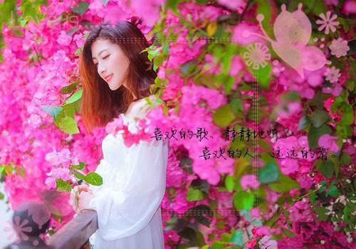 湮灭星芒（胡宇文中华）已完结，湮灭星芒已完结