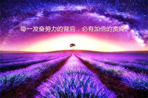 (番外)+(全文)谢青临宋初吟苏倾月：极佳剧情下载阅读_(宋初吟苏倾月谢青临)谢青临宋初吟苏倾月：极佳剧情免费阅读全文最新章节列表_笔趣阁（宋初吟苏倾月谢青临）