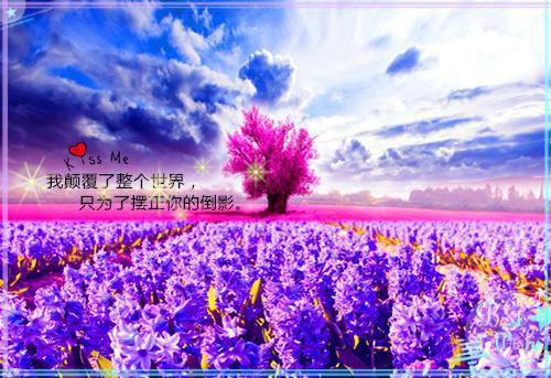 爱你句句不轻易祁若妍封子骁推荐完本_已完结爱你句句不轻易（祁若妍封子骁）