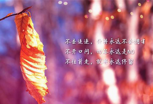 未逢人间满长安:全文+番外（许长安李书瑶）全章免费版阅读