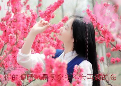 婚礼当天，我被一群歹徒当众最新章节列表_婚礼当天，我被一群歹徒当众全文免费阅读(陆瑾元,叶知夏,苏念)
