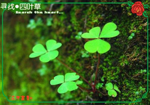 (番外)+(全文)敢欺负我？少爷你快出手：全文txt下载阅读_(舒晚玲孟怀懔)敢欺负我？少爷你快出手：全文免费阅读全文最新章节列表_笔趣阁（舒晚玲孟怀懔）