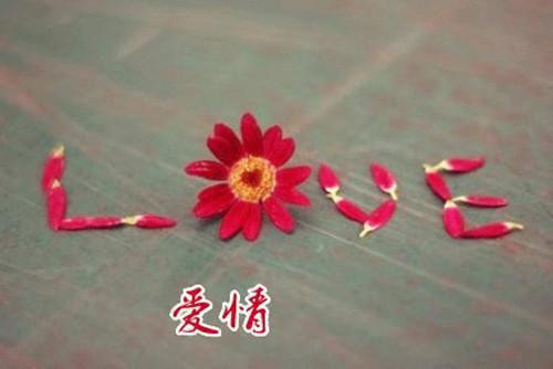 盲盒选妻抽中童养媳后，她竟要和我退婚(陆远州向晚宁)最近更新