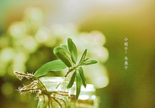裴延允华全文免费阅读(滚滚不争小说）全文免费裴延允华读无弹窗大结局_ 滚滚不争小说裴延允华免费裴延允华读最新章节列表_笔趣阁（裴延允华）