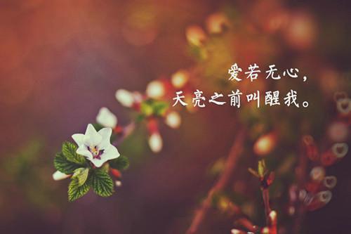 全本未婚夫出轨后，我和保镖在（方延,傅朝,宋烟）最新章节列表_全本未婚夫出轨后，我和保镖在全文阅读
