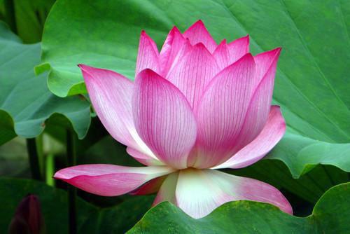 全本忆君不见泪沾襟：结局+番外+完本（谭知韵顾奕白）最新章节列表_全本忆君不见泪沾襟：结局+番外+完本全文阅读