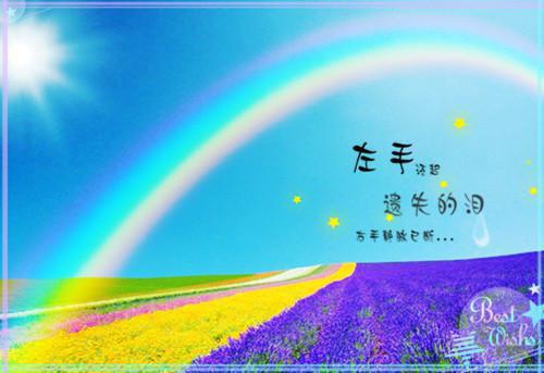 爱于燃尽新生：爆火全网全本阅读顾云霄孟卿月