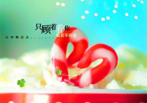 全本第一百零一次求婚：优质全章（顾衍秦千雪宋星河 ）最新章节列表_全本第一百零一次求婚：优质全章全文阅读