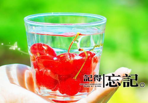 玫瑰无（秋茹,阮秋,梓明）最新章节_玫瑰无全文阅读