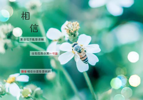 妹妹血泪未干，妻子竟为仇人辩护（临川沈昭夏）最新推荐_最新推荐妹妹血泪未干，妻子竟为仇人辩护（临川沈昭夏）