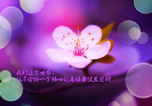 完结文简越泽林亦凝何严文（又名：她走后，我乱了四季）最新章节列表_完结文简越泽林亦凝何严文（又名：她走后，我乱了四季）全文阅读