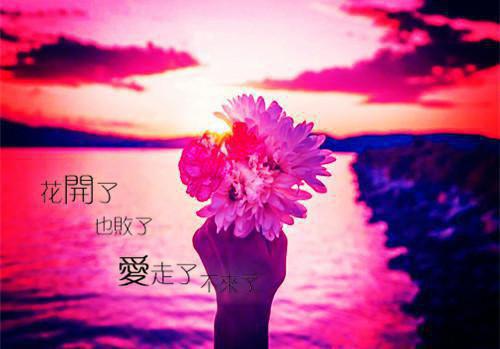 第1章葬身火海喻暖陆寒宸一口气看完_书荒时期必读情感力作喻暖陆寒宸《第1章葬身火海》
