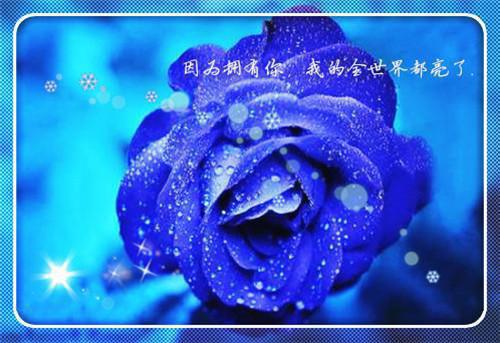 全本认错双胞胎后我成了他嫂子：笔趣阁（沈知秋顾少珩）最新章节列表_全本认错双胞胎后我成了他嫂子：笔趣阁全文阅读