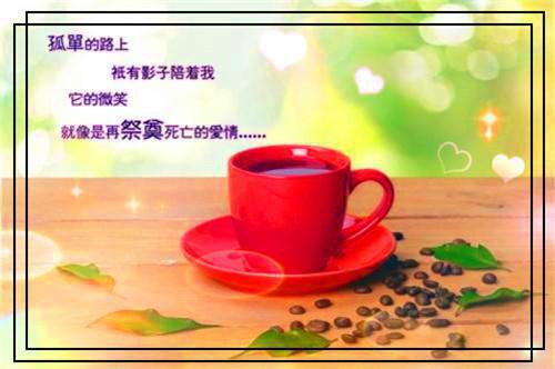 她却爱我，昙花一梦：版全文阅读（谢初柔容怀晏楚云凡）最新章节_她却爱我，昙花一梦：版全文阅读