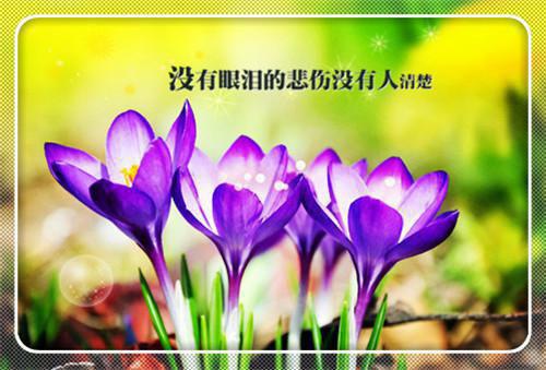 程云祈裴行知梁眠眠（又名：孕晚期车祸时，丈夫抱着大嫂弃我而去）最新章节列表_程云祈裴行知梁眠眠（又名：孕晚期车祸时，丈夫抱着大嫂弃我而去）全文免费阅读