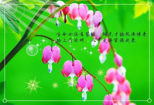 (番外)+(全文)他似星辰，坠落无痕好文分享txt下载阅读_（秦以寒沈安然）他似星辰，坠落无痕好文分享最新章节列表_笔趣阁（秦以寒沈安然）