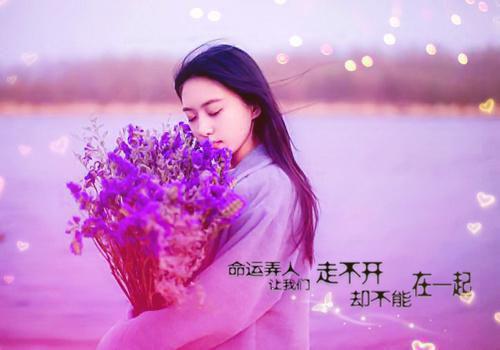 谢尽长安花：：人气小说未删减节选（沈照霜谢无涯）全章免费版阅读